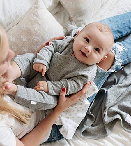 Burt's Bees Baby 'baby-boys' Romper Jumpsuit, 100% Organic Cotton One-piece Coverall and Toddler Footie, Quilted Heather Grey, 6-9 Months US