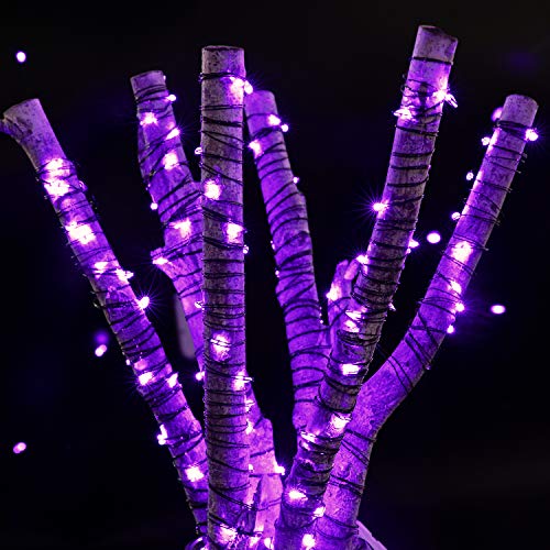 Halloween Purple Fairy String Lights: 12 Pack 7Ft 20 Led Battery Operated Firefly Lights on Black Wire Starry Moon Lights for DIY Party Bedroom Patio