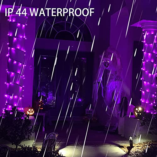 Dazzle Bright 200 LED Halloween Mini String Lights, 65FT Light Up 8 Modes Halloween Decorations Fairy Lights for Indoor Outdoor Room Garden Holiday Party (Purple)