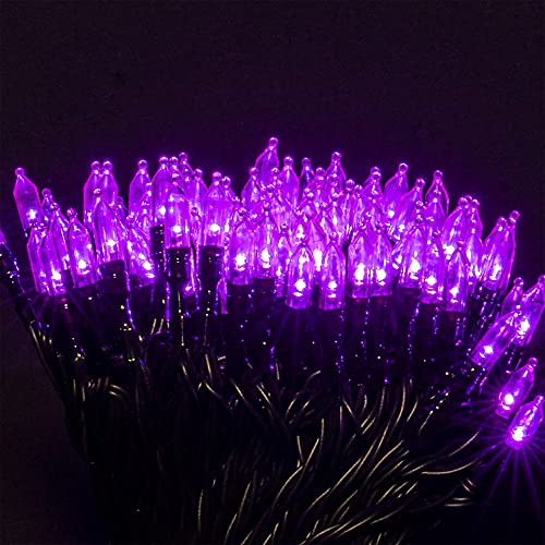 Dazzle Bright 200 LED Halloween Mini String Lights, 65FT Light Up 8 Modes Halloween Decorations Fairy Lights for Indoor Outdoor Room Garden Holiday Party (Purple)
