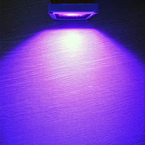 Lysed 30W Black Light, Black Lights for Glow Party, Blacklight Party Glow in The Dark, LED Black Lights Halloween Decorations, IP66 Waterproof (2 Pack)