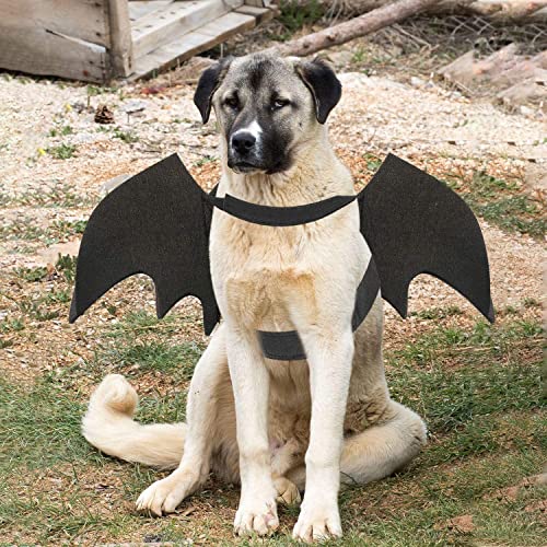 QUV Dog Bat Costume, Halloween Pet Costume Bat Wings Cosplay Large Dog Dress Up Accessories for Party Black