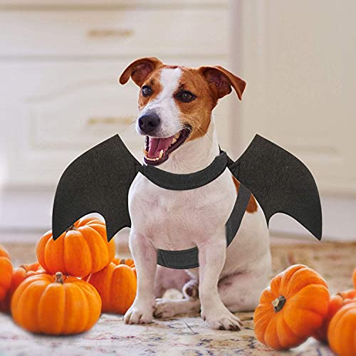 QUV Dog Bat Costume, Halloween Pet Costume Bat Wings Cosplay Large Dog Dress Up Accessories for Party Black