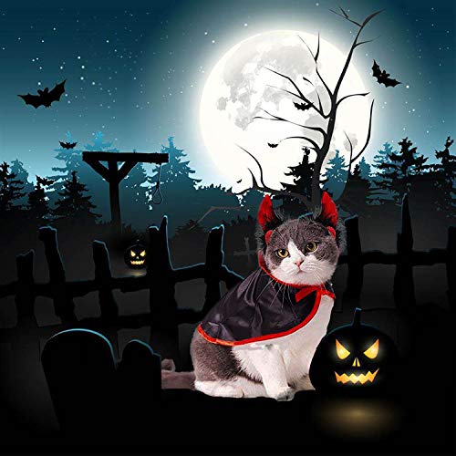 IFLYOOY Cat Halloween Costume Halloween Pet Costumes for Cats and Puppy Vampire Costume Cosplay for Small Dogs Holiday Clothes for Black Night Bloody Party (Cape & Horn)