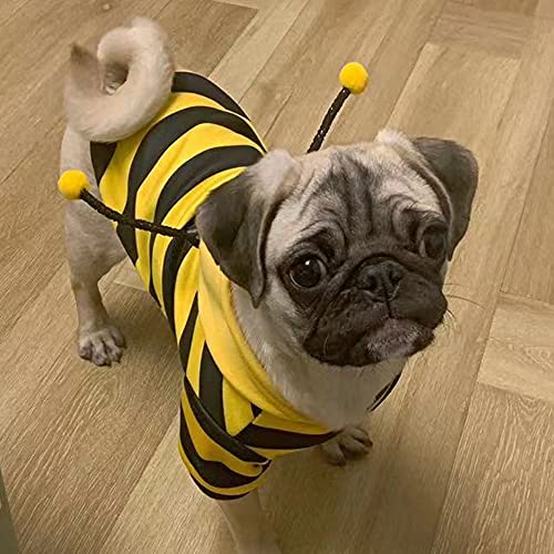 Anelekor Pet Bee Halloween Costume Dog Hoodies Cat Holiday Cosplay Warm Clothes Puppy Cute Hooded Coat Christmas Outfits for Cat and Small Dogs (Yellow, X-Small), XS