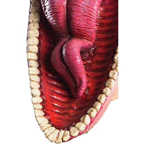 Rubie's unisex adult Beetlejuice Barbara Costume Mask, As Shown, One Size US