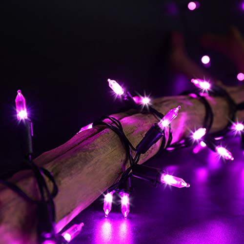 RECESKY 100 LED Battery String Lights with Remote and Timer - 33ft Halloween String Lights for Outdoor, Indoor Decor - Clear Mini Bulb Lighting for Garden, House, Halloween Party Decorations (Purple)