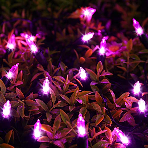 RECESKY 100 LED Battery String Lights with Remote and Timer - 33ft Halloween String Lights for Outdoor, Indoor Decor - Clear Mini Bulb Lighting for Garden, House, Halloween Party Decorations (Purple)