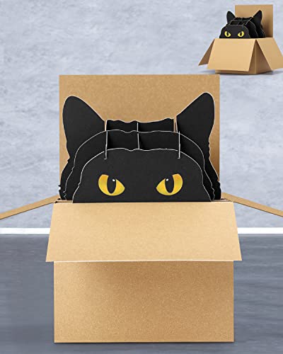 3D Birthday Pop Up Cat Gift Card Greeting Happy Funny Birthday Hallmark Card Note With Envelope Funny Black Cat Love Pop Happy Birthday Gift Card Bulk | Blank Inside, Cat, Greeting, Birthday