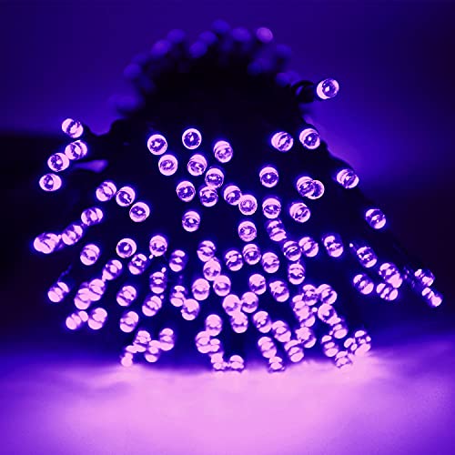 QINOL 2-Pack 400LED 72FT Solar Halloween Lights, Green Wire Solar LED String Lights Outdoor Waterproof, 8 Modes Decorative Mini Lights for Xmas Tree Horror Party (Purple)