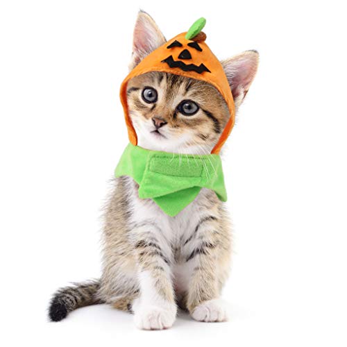 Idepet Cat Costumes, Costumes for Cats Pumpkin Hat Cat Halloween Costumes Adjustable Hat for Party Decoration Small Pet Cat Cap