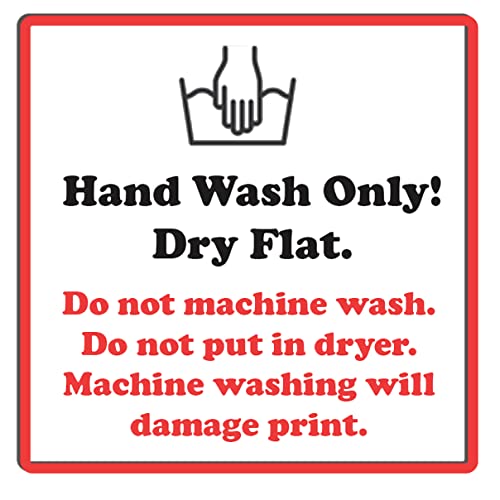 Rubie's mens Dc Comics Men's Robin T-shirt With Cape and Mask Costume Top, Red, Large US