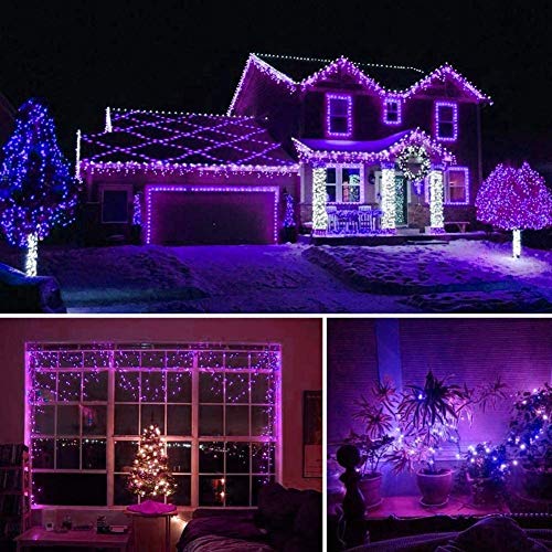 QINOL 2-Pack 400LED 72FT Solar Halloween Lights, Green Wire Solar LED String Lights Outdoor Waterproof, 8 Modes Decorative Mini Lights for Xmas Tree Horror Party (Purple)