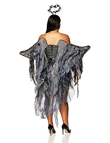 Fun World womens Costumes Dark Angel's Desire Adult Sized Costumes, Dark Gray,silver,black, Medium US