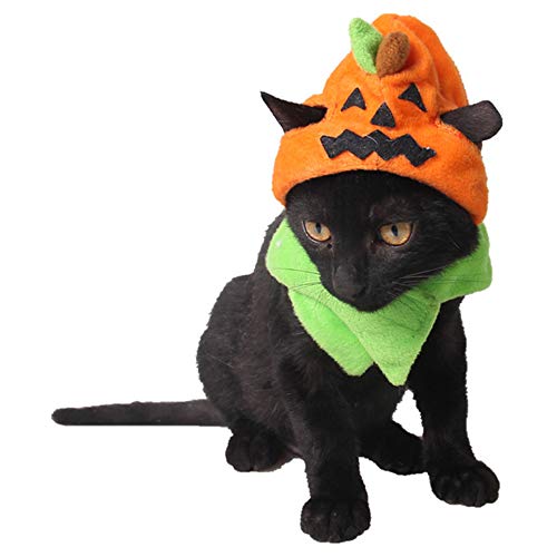 Idepet Cat Costumes, Costumes for Cats Pumpkin Hat Cat Halloween Costumes Adjustable Hat for Party Decoration Small Pet Cat Cap
