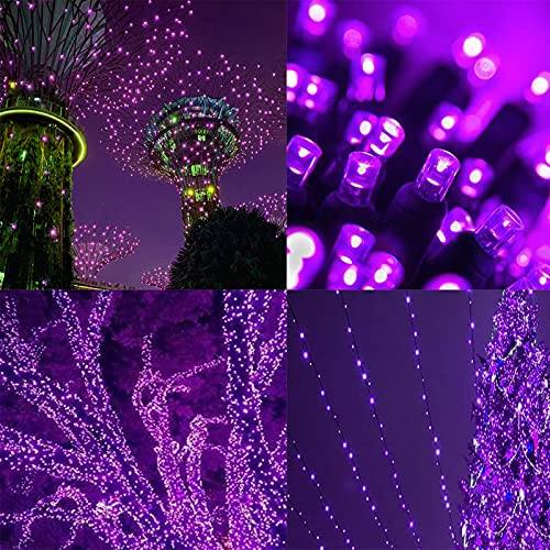 QINOL 2-Pack 400LED 72FT Solar Halloween Lights, Green Wire Solar LED String Lights Outdoor Waterproof, 8 Modes Decorative Mini Lights for Xmas Tree Horror Party (Purple)