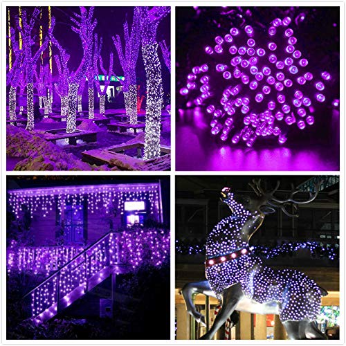 QINOL 2-Pack 400LED 72FT Solar Halloween Lights, Green Wire Solar LED String Lights Outdoor Waterproof, 8 Modes Decorative Mini Lights for Xmas Tree Horror Party (Purple)