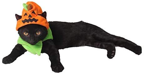 Idepet Cat Costumes, Costumes for Cats Pumpkin Hat Cat Halloween Costumes Adjustable Hat for Party Decoration Small Pet Cat Cap
