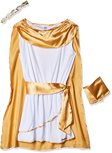 Dreamgirl Adult Greek God Toga Costume, Mens Hes a God Halloween Costume - X-Large