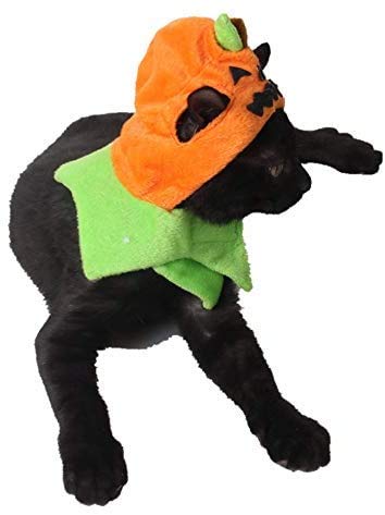Idepet Cat Costumes, Costumes for Cats Pumpkin Hat Cat Halloween Costumes Adjustable Hat for Party Decoration Small Pet Cat Cap