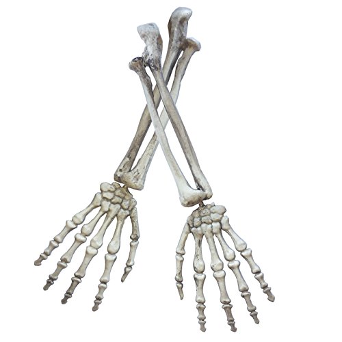 Life-size Halloween Skeleton Arm Props (1 pair)