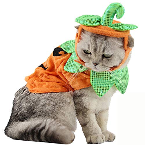 Bolbove Pet Pumpkin Costume for Cats & Small Dogs Party Halloween Cosplay Free Size Orange (Hat+Clothes)