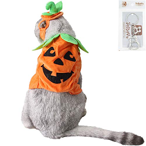 Bolbove Pet Pumpkin Costume for Cats & Small Dogs Party Halloween Cosplay Free Size Orange (Hat+Clothes)