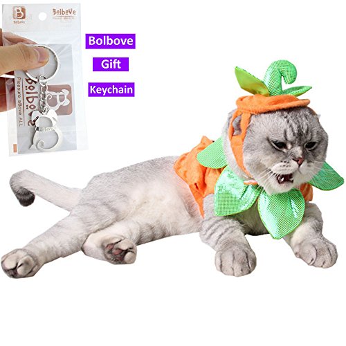 Bolbove Pet Pumpkin Costume for Cats & Small Dogs Party Halloween Cosplay Free Size Orange (Hat+Clothes)