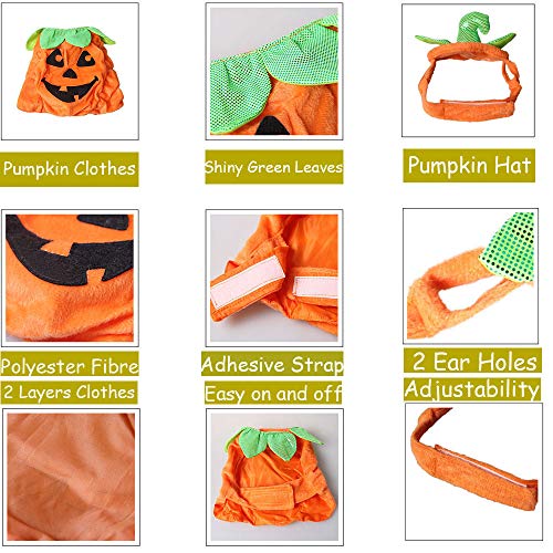 Bolbove Pet Pumpkin Costume for Cats & Small Dogs Party Halloween Cosplay Free Size Orange (Hat+Clothes)