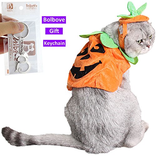 Bolbove Pet Pumpkin Costume for Cats & Small Dogs Party Halloween Cosplay Free Size Orange (Hat+Clothes)