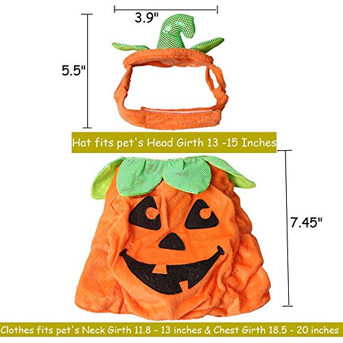 Bolbove Pet Pumpkin Costume for Cats & Small Dogs Party Halloween Cosplay Free Size Orange (Hat+Clothes)