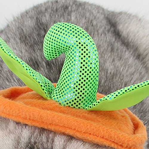 Bolbove Pet Pumpkin Costume for Cats & Small Dogs Party Halloween Cosplay Free Size Orange (Hat+Clothes)