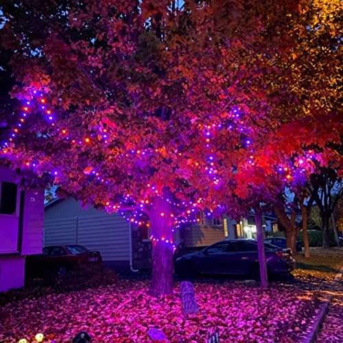 Joomer Orange Purple Halloween Lights 100FT 300 LED Connectable Halloween String Lights with 8 Modes Timer Waterproof Plug-in Orange Purple String Lights for Indoor Outdoor Halloween Decorations