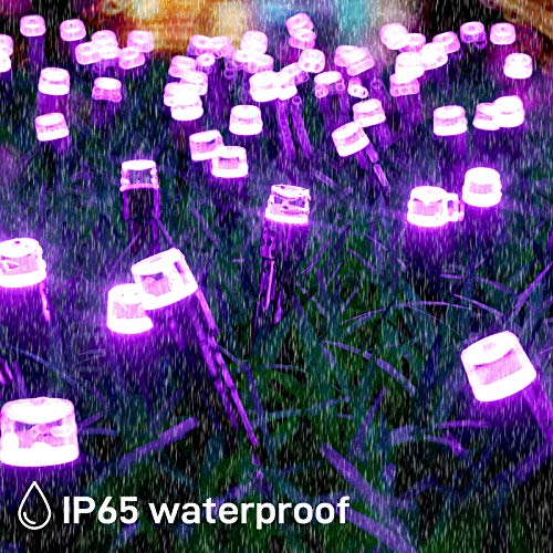 Solar Purple Christmas Lights Outdoor - 72FT 200 LED Waterproof Mini Solar Powered Purple String Lights 8 Modes Solar Outdoor Tree lights for Christmas Party Patio Garden Holiday Yard Xmas Decoration