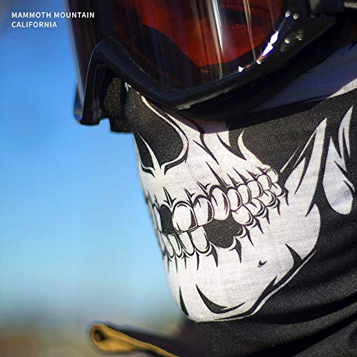Indie Ridge Skull Face Mask - Motorcycle Ski Snowboard Winter Face Mask