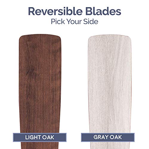 Smart 52" Ceiling Fan with Light & Remote