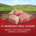 Purina ONE Natural Dry Dog Food, Chicken & Rice