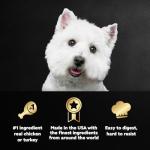 Cesar Wet Dog Food Variety Pack for Poultry Lovers