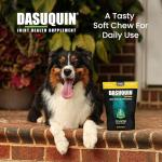 Dasuquin Joint Health Supplement for Small Dogs