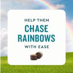 Vetiq Hip and Joint Soft Chews for Dogs