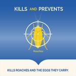 Hot Shot Liquid Roach Bait, 6-Count, Powerful Killer