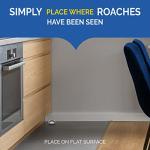 Hot Shot Liquid Roach Bait, 6-Count, Powerful Killer