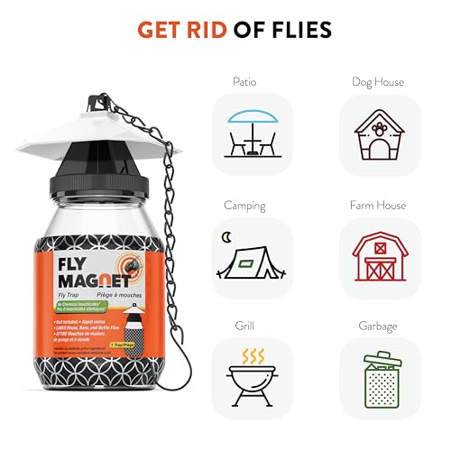 Outdoor Fly Trap 2-Pack with Dissolvable Non-Toxic Bait