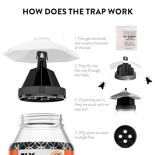 Outdoor Fly Trap 2-Pack with Dissolvable Non-Toxic Bait