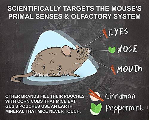Grandpa Gus Rodent Repellent Spray, Peppermint & Cinnamon