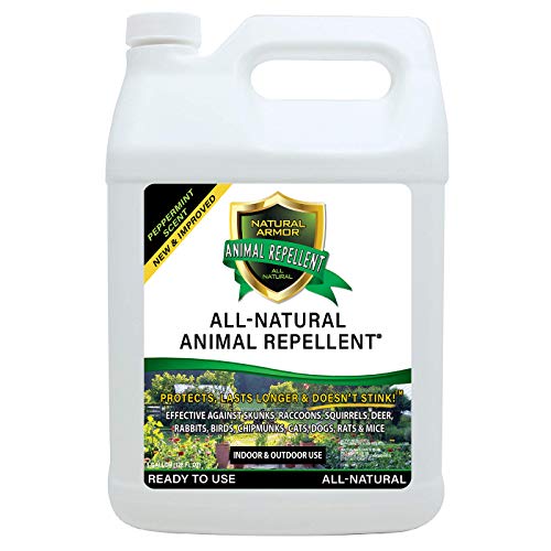 Peppermint Animal & Rodent Repellent Spray – 128 oz