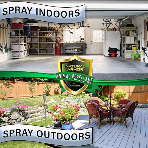 Peppermint Animal & Rodent Repellent Spray – 128 oz