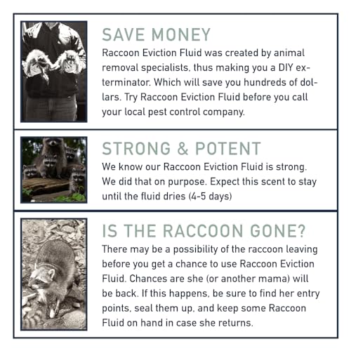 Non-Toxic Raccoon Eviction Fluid - 1 Ounce