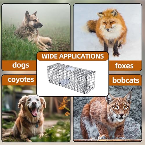 Large Heavy Duty Live Animal Cage Trap with Gloves