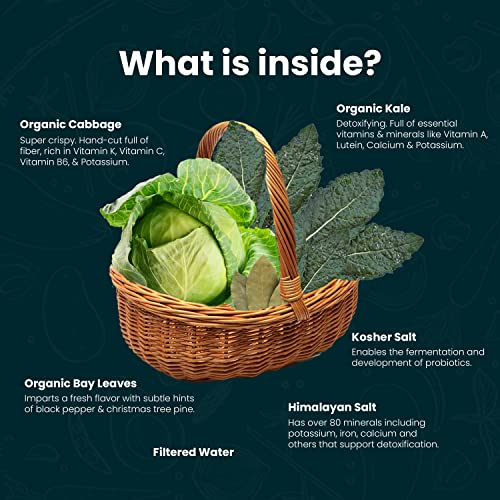 Organic Probiotic Kraut: Raw Fermented Kale Delight